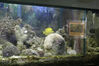 Filename=20071020_010.jpg
Filesize=294KiB
Dimensions=1024x685
Date added=Oct 29, 2008 20071020_010.jpg