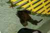 Filename=20071020_021.jpg
Filesize=232KiB
Dimensions=1024x685
Date added=Oct 29, 2008 20071020_021.jpg