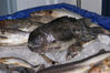 Filename=20071020_030.jpg
Filesize=283KiB
Dimensions=1024x685
Date added=Oct 29, 2008 20071020_030.jpg