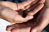 Filename=20071021_016.jpg
Filesize=194KiB
Dimensions=1024x685
Date added=Oct 29, 2008 20071021_016.jpg