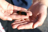 Filename=20071021_018.jpg
Filesize=179KiB
Dimensions=1024x685
Date added=Oct 29, 2008 20071021_018.jpg