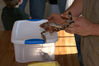 Filename=20071028_016.jpg
Filesize=190KiB
Dimensions=1024x685
Date added=Oct 29, 2008 20071028_016.jpg