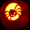 Filename=20071030_004.jpg
Filesize=448KiB
Dimensions=1024x1016
Date added=Oct 29, 2008 20071030_004.jpg