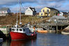 Filename=20071112_008.jpg
Filesize=234KiB
Dimensions=1023x684
Date added=Oct 29, 2008 20071112_008.jpg