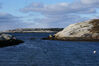 Filename=20071112_011.jpg
Filesize=166KiB
Dimensions=1023x684
Date added=Oct 29, 2008 20071112_011.jpg