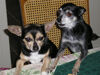 Filename=20071114_002.jpg
Filesize=200KiB
Dimensions=1024x768
Date added=Oct 29, 2008 20071114_002.jpg