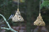 Filename=20071115_001.jpg
Filesize=130KiB
Dimensions=1024x684
Date added=Oct 29, 2008 20071115_001.jpg