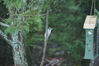 Filename=20071115_010.jpg
Filesize=149KiB
Dimensions=1023x684
Date added=Oct 29, 2008 20071115_010.jpg