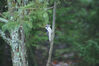 Filename=20071115_011.jpg
Filesize=141KiB
Dimensions=1023x684
Date added=Oct 29, 2008 20071115_011.jpg