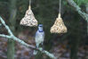 Filename=20071115_014.jpg
Filesize=138KiB
Dimensions=1024x684
Date added=Oct 29, 2008 20071115_014.jpg