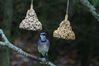Filename=20071115_015.jpg
Filesize=129KiB
Dimensions=1023x684
Date added=Oct 29, 2008 20071115_015.jpg