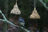Filename=20071115_016.jpg
Filesize=128KiB
Dimensions=1023x684
Date added=Oct 29, 2008 20071115_016.jpg
