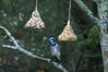 Filename=20071115_034.jpg
Filesize=159KiB
Dimensions=1023x684
Date added=Oct 29, 2008 20071115_034.jpg