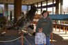Filename=20071117_010.jpg
Filesize=184KiB
Dimensions=1023x684
Date added=Oct 29, 2008 20071117_010.jpg