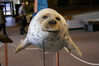 Filename=20071117_011.jpg
Filesize=129KiB
Dimensions=1023x684
Date added=Oct 29, 2008 20071117_011.jpg