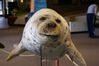 Filename=20071117_012.jpg
Filesize=127KiB
Dimensions=1023x684
Date added=Oct 29, 2008 20071117_012.jpg