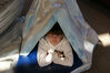 Filename=20071117_016.jpg
Filesize=141KiB
Dimensions=1023x684
Date added=Oct 29, 2008 20071117_016.jpg