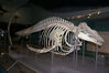 Filename=20071117_072.jpg
Filesize=146KiB
Dimensions=1023x684
Date added=Oct 29, 2008 20071117_072.jpg