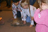Filename=20071117_083.jpg
Filesize=177KiB
Dimensions=1023x684
Date added=Oct 29, 2008 20071117_083.jpg