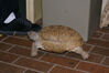Filename=20071117_085.jpg
Filesize=151KiB
Dimensions=1023x684
Date added=Oct 29, 2008 20071117_085.jpg