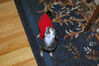 Filename=20071229_001.jpg
Filesize=217KiB
Dimensions=1023x684
Date added=Oct 29, 2008 20071229_001.jpg