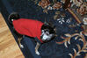 Filename=20071229_002.jpg
Filesize=201KiB
Dimensions=1023x684
Date added=Oct 29, 2008 20071229_002.jpg