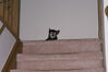 Filename=20080102_002.jpg
Filesize=111KiB
Dimensions=1023x684
Date added=Nov 01, 2008 20080102_002.jpg