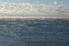 Filename=20080125_001.jpg
Filesize=170KiB
Dimensions=1023x684
Date added=Nov 01, 2008 20080125_001.jpg