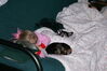 Filename=20080208_001.jpg
Filesize=142KiB
Dimensions=1023x684
Date added=Nov 01, 2008 20080208_001.jpg