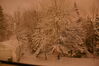 Filename=20080210_002.jpg
Filesize=170KiB
Dimensions=1023x684
Date added=Nov 01, 2008 20080210_002.jpg