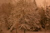 Filename=20080210_005.jpg
Filesize=178KiB
Dimensions=1023x684
Date added=Nov 01, 2008 20080210_005.jpg
