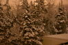 Filename=20080210_007.jpg
Filesize=215KiB
Dimensions=1023x684
Date added=Nov 01, 2008 20080210_007.jpg
