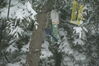 Filename=20080223_001.jpg
Filesize=156KiB
Dimensions=1023x684
Date added=Nov 01, 2008 20080223_001.jpg