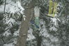 Filename=20080223_003.jpg
Filesize=161KiB
Dimensions=1023x684
Date added=Nov 01, 2008 20080223_003.jpg