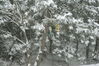 Filename=20080223_004.jpg
Filesize=246KiB
Dimensions=1023x684
Date added=Nov 01, 2008 20080223_004.jpg