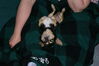 Filename=20080510_004.jpg
Filesize=153KiB
Dimensions=1023x684
Date added=Nov 01, 2008 20080510_004.jpg