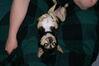 Filename=20080510_005.jpg
Filesize=163KiB
Dimensions=1023x684
Date added=Nov 01, 2008 20080510_005.jpg