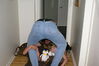 Filename=20080523_003.jpg
Filesize=122KiB
Dimensions=1023x684
Date added=Nov 01, 2008 20080523_003.jpg