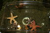 Filename=20080628_012.jpg
Filesize=185KiB
Dimensions=1023x684
Date added=Nov 01, 2008 20080628_012.jpg
