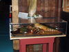 Filename=20080628_017.jpg
Filesize=127KiB
Dimensions=1024x768
Date added=Nov 01, 2008 20080628_017.jpg