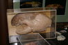 Filename=20080628_019.jpg
Filesize=150KiB
Dimensions=1023x684
Date added=Nov 01, 2008 20080628_019.jpg