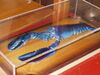 Filename=20080628_020.jpg
Filesize=160KiB
Dimensions=1024x768
Date added=Nov 01, 2008 20080628_020.jpg
