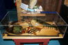 Filename=20080628_023.jpg
Filesize=172KiB
Dimensions=1023x684
Date added=Nov 01, 2008 20080628_023.jpg