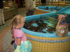Filename=20080629_003.jpg
Filesize=143KiB
Dimensions=1024x768
Date added=Nov 01, 2008 20080629_003.jpg