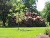 Filename=20080701_017.jpg
Filesize=274KiB
Dimensions=1024x768
Date added=Nov 01, 2008 20080701_017.jpg