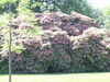 Filename=20080701_018.jpg
Filesize=267KiB
Dimensions=1024x768
Date added=Nov 01, 2008 20080701_018.jpg