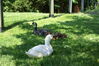 Filename=20080701_030.jpg
Filesize=251KiB
Dimensions=1023x684
Date added=Nov 01, 2008 20080701_030.jpg