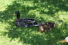 Filename=20080701_031.jpg
Filesize=276KiB
Dimensions=1023x684
Date added=Nov 01, 2008 20080701_031.jpg