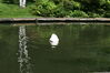 Filename=20080701_034.jpg
Filesize=188KiB
Dimensions=1023x684
Date added=Nov 01, 2008 20080701_034.jpg