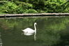 Filename=20080701_035.jpg
Filesize=213KiB
Dimensions=1023x684
Date added=Nov 01, 2008 20080701_035.jpg